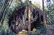 Hroby jsou v dnen dob tesny ve skalch. Oblast Tana Toraja. Indonsie.