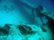 Potpn u ostrova Biak, lokalita Catalina wreck. Papua,  Indonsie.