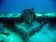 Potpn u ostrova Biak, lokalita Catalina wreck. Papua,  Indonsie.