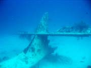 Potpn u ostrova Biak, lokalita Catalina wreck. Indonsie.